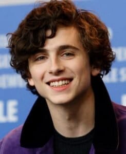 Timothee Chalamet Biography, Net Worth, Age, Movies, And More