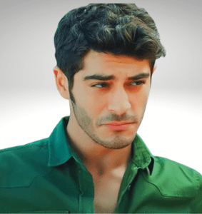 Burak Deniz Biography, Height, Net Worth And More