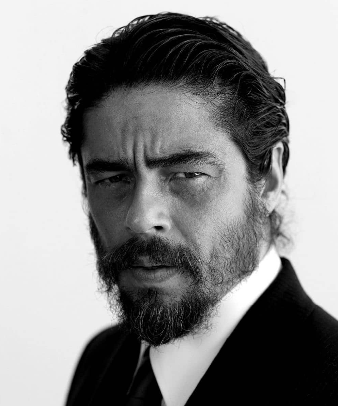 Benicio Del Toro Net Worth