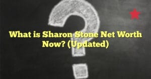 What is Sharon Stone Net Worth Now? (Updated)