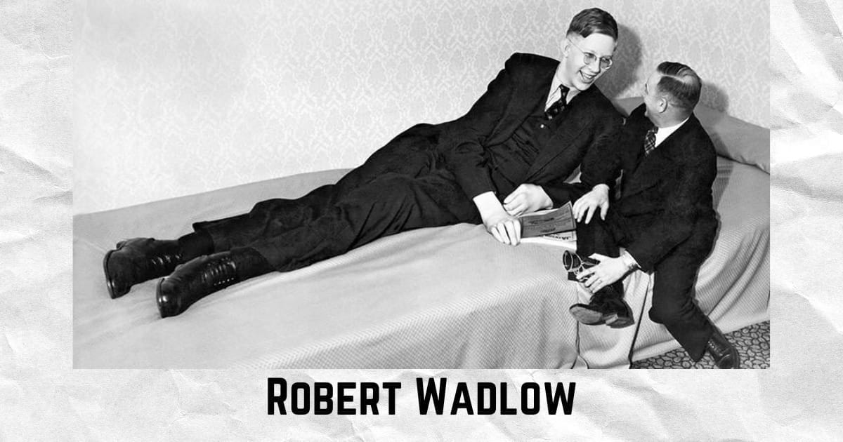 Robert Wadlow