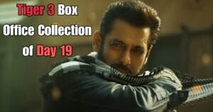 Tiger 3 Box Office Collection of Day 19