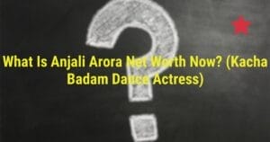 What Is Anjali Arora Net Worth Now? (Kacha Badam Dance Actress)